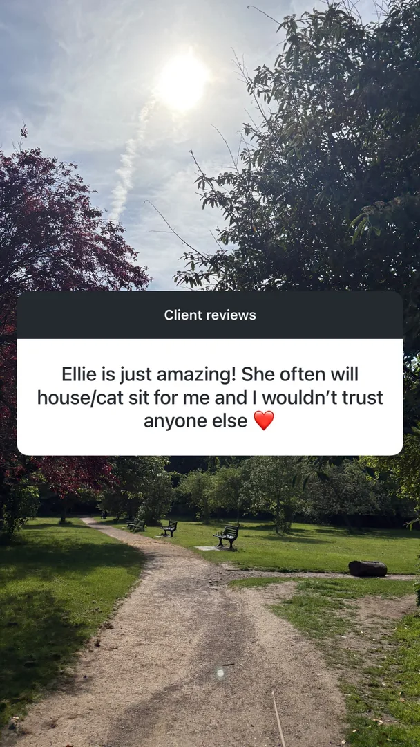 Customer testimonial