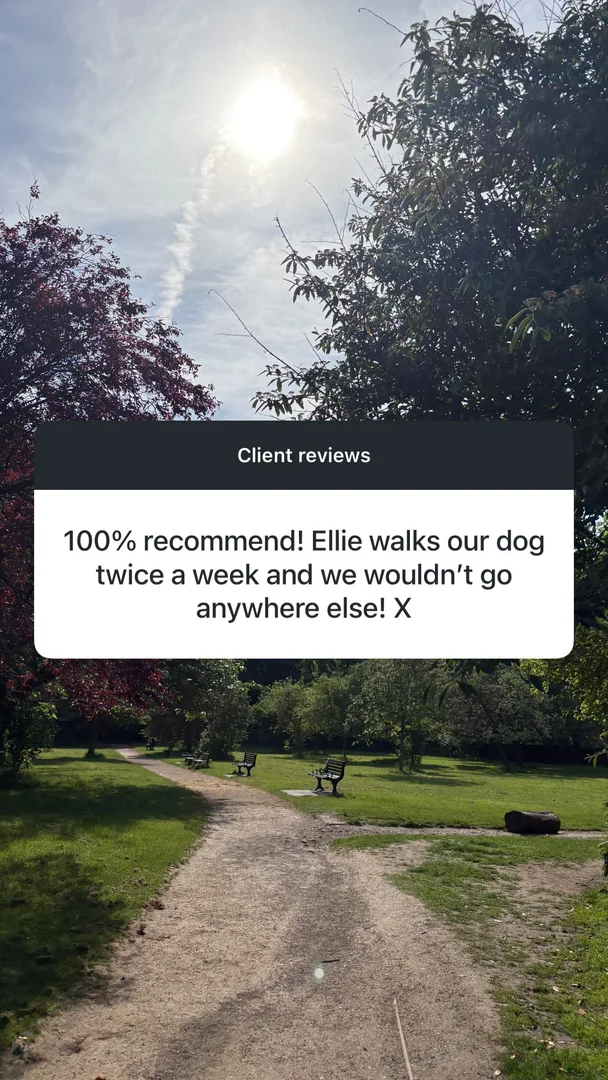 Customer testimonial