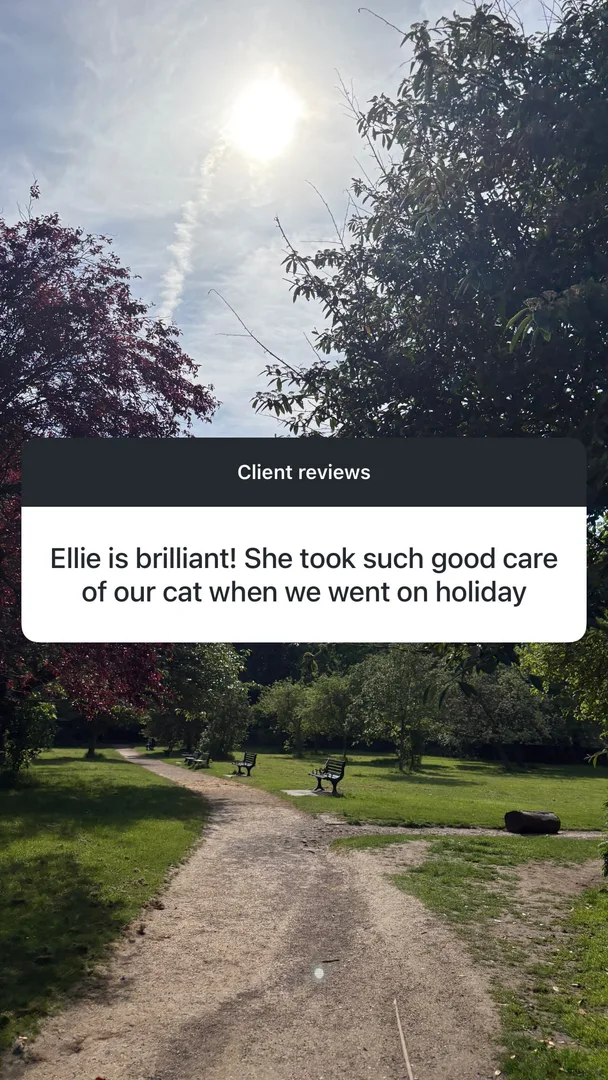 Customer testimonial